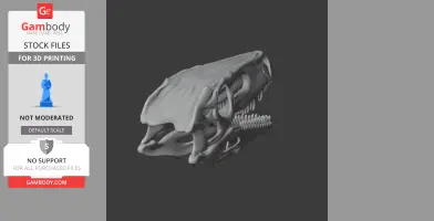 Herrerasaurus Skull - Skull Replica STL