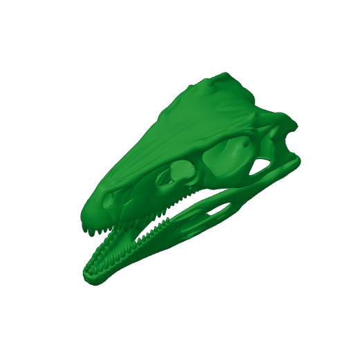 Herrerasaurus Skull.3mf