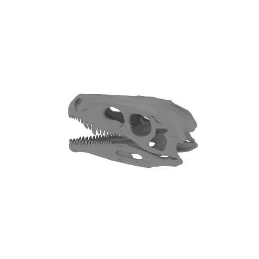 Herrerasaurus Skull.stl