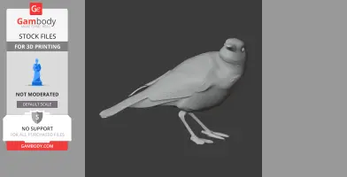 Arafura shrikethrush - Prehistoric Animal STL