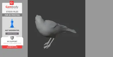 Arafura shrikethrush - Prehistoric Animal STL