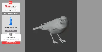 Arafura shrikethrush - Prehistoric Animal STL