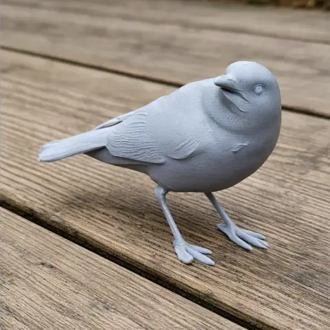 Arafura shrikethrush - Prehistoric Animal STL