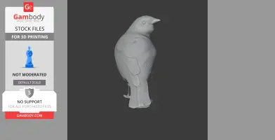 Arafura shrikethrush - Prehistoric Animal STL