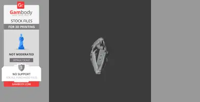 3D model of a dinosaur skull replica with sharp teeth, viewed from the front.