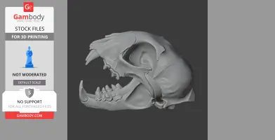 Iberian Lynx Skull - Skull Replica STL