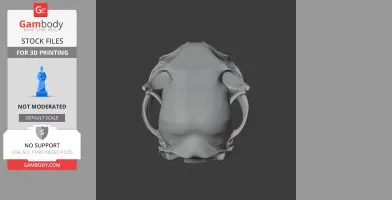 Iberian Lynx Skull - Skull Replica STL