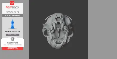 Iberian Lynx Skull - Skull Replica STL