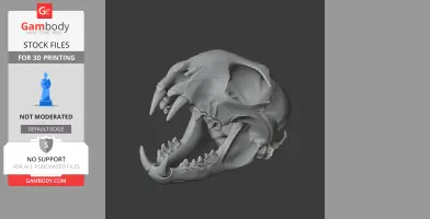 Iberian Lynx Skull - Skull Replica STL
