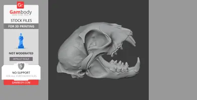 Iberian Lynx Skull - Skull Replica STL