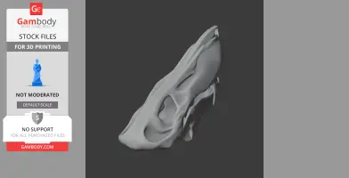 Inostrancevia Skull - Skull Replica STL