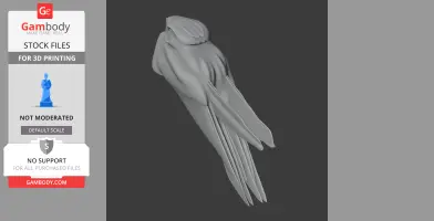 Archbold's nightjar - Prehistoric Animal STL
