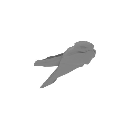 Archbold's nightjar.stl