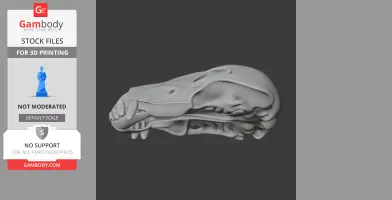 Jaekelopterus Skull - Skull Replica STL