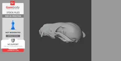 Jaekelopterus Skull - Skull Replica STL