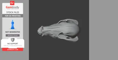 Jaekelopterus Skull - Skull Replica STL