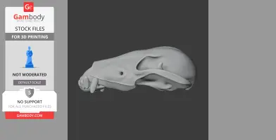 Jaekelopterus Skull - Skull Replica STL