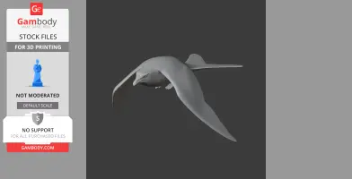 Arctic Skua - Prehistoric Animal STL
