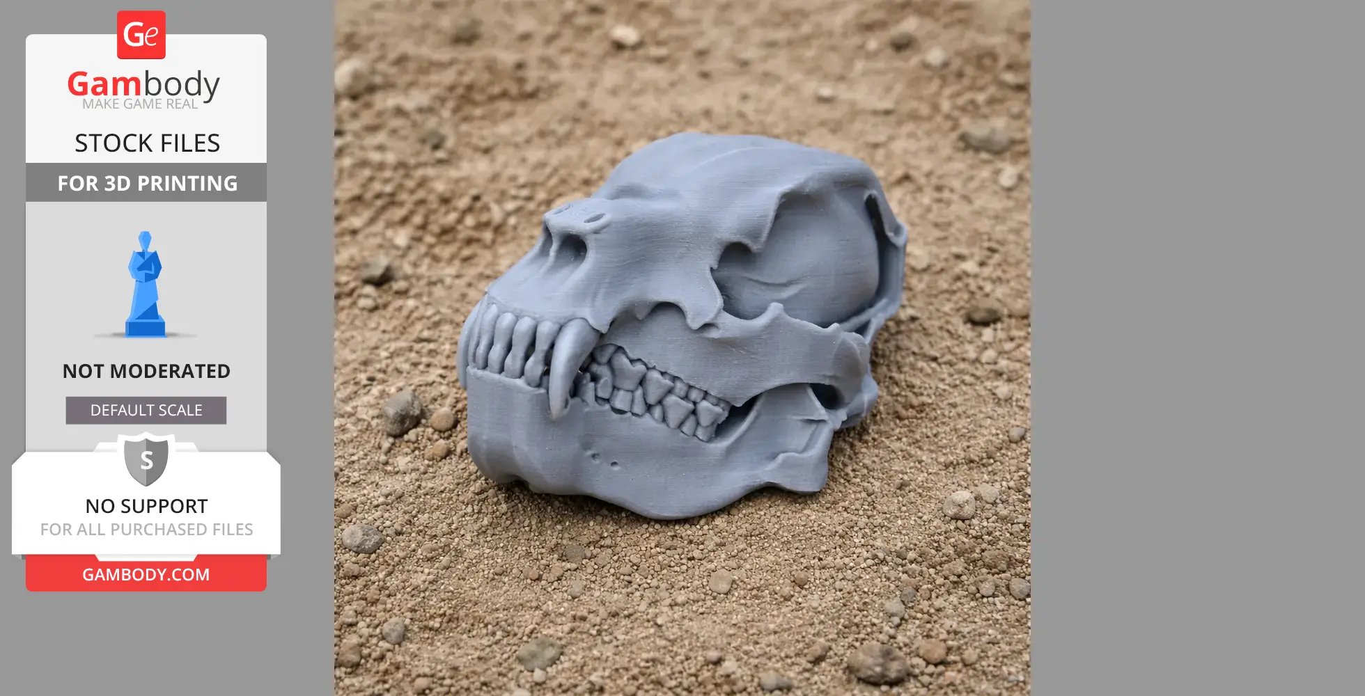 Jindipelta Skull - Skull Replica STL