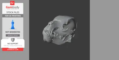 Jindipelta Skull - Skull Replica STL