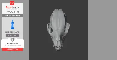 Jindipelta Skull - Skull Replica STL