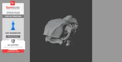 Jindipelta Skull - Skull Replica STL