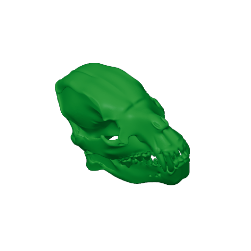 Jindipelta Skull.3mf