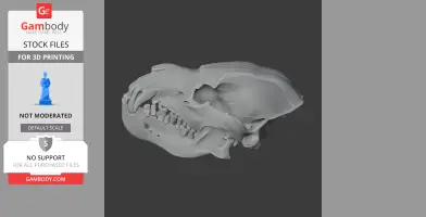 Jindipelta Skull - Skull Replica STL