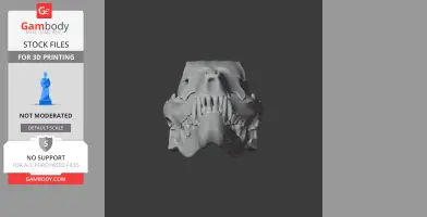Jindipelta Skull - Skull Replica STL