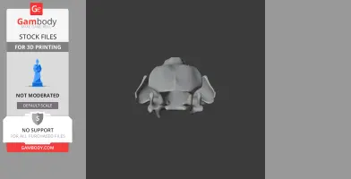 3D model of a Kodiak bear skull displayed from above, gray with detailed bone structure.