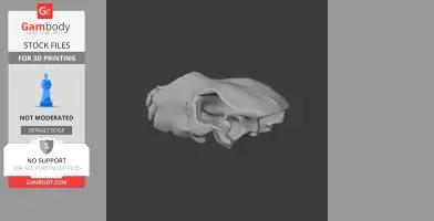 3D model of a Kodiak bear skull, side view, suitable for 3D printing.