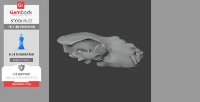 3D model of a Kodiak bear skull, side view, for 3D printing from Gambody Stock.
