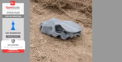 Gray 3D-printed Kodiak bear skull replica resting on sandy ground.