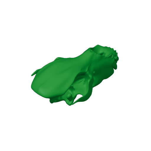 Kodiak Bear Skull.3mf