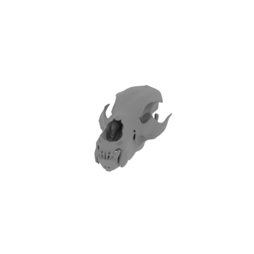 Kodiak Bear Skull.stl