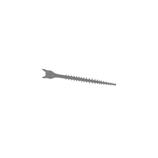 Largetooth Sawfish Skull.stl