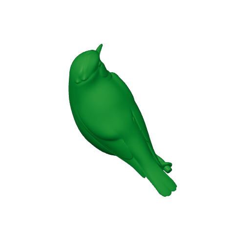 Arctic warbler.3mf