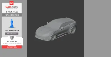 3D model of a sleek, modern car design, suitable for 3D printing.