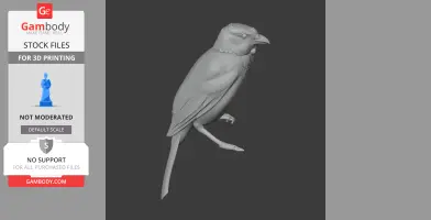 3D model of an Arfak catbird in profile view, detailed feathers and beak, for 3D printing.