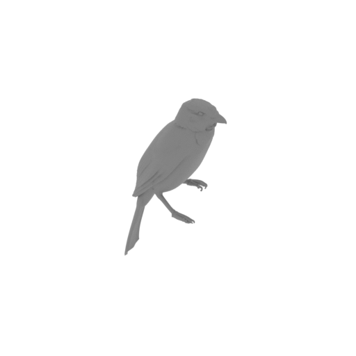 Arfak catbird.stl