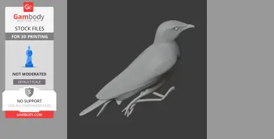 A detailed 3D model of a prehistoric bird standing, designed for 3D printing.