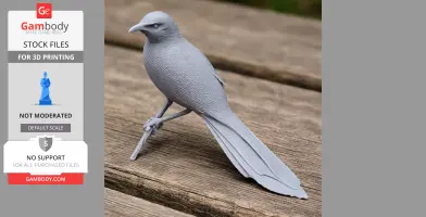 3D-printed arrow-marked babbler bird model, perched on a wooden surface.