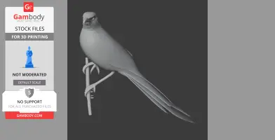 3D model of an arrow-marked babbler bird perched on a branch, ideal for 3D printing.