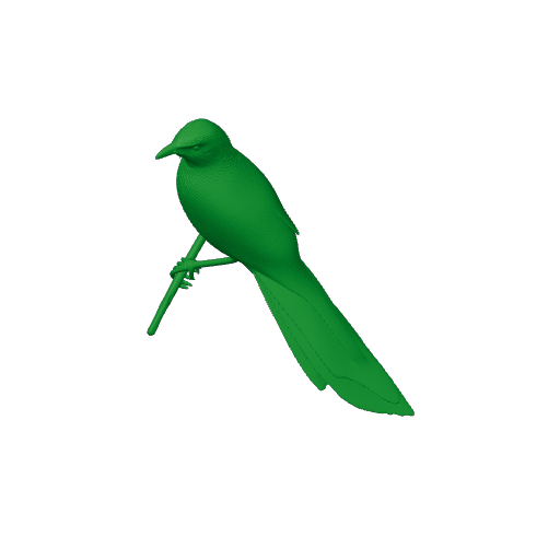 Arrow-marked babbler.3mf