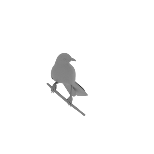 Arrow-marked babbler.stl