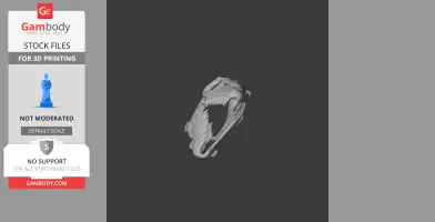 Mosasaurus Skull - Skull Replica STL