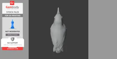 Ashy-headed babbler - Prehistoric Animal STL