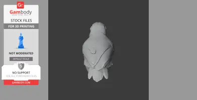 Ashy-headed babbler - Prehistoric Animal STL