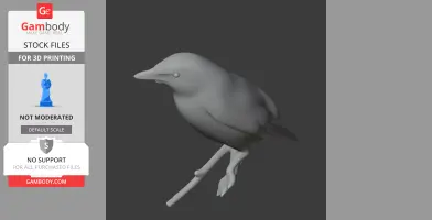 Ashy-headed laughingthrush - Prehistoric Animal STL
