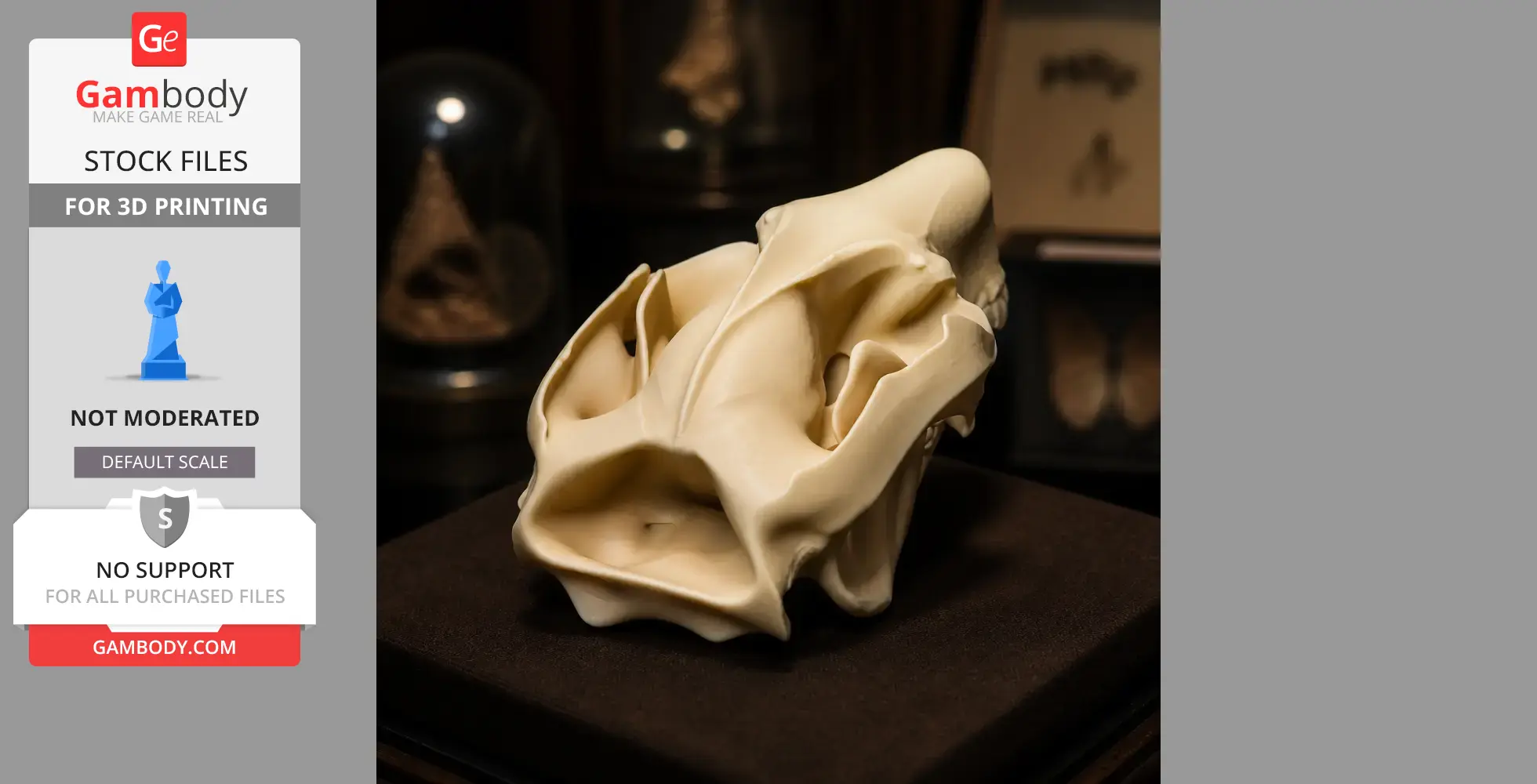 Mountain Brushtail Possum Skull - Skull Replica STL